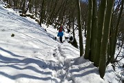 Salita pomeridiana al MONTE SUCHELLO (1541 m) ben innevato da Costa Serina 1l 10 marzo 2016  - FOTOGALLERY